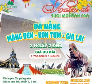 Tour Đà Nẵng Tây Nguyên