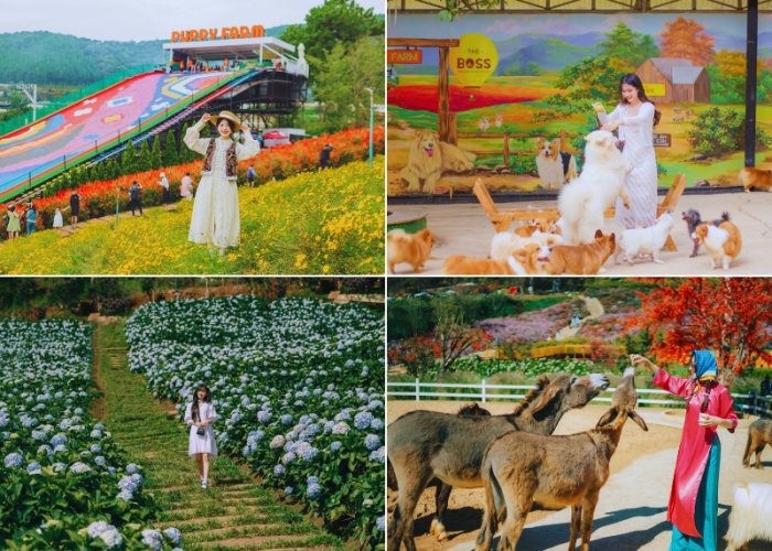 Tour du lịch Đà Lạt 2 ngày 1 đêm