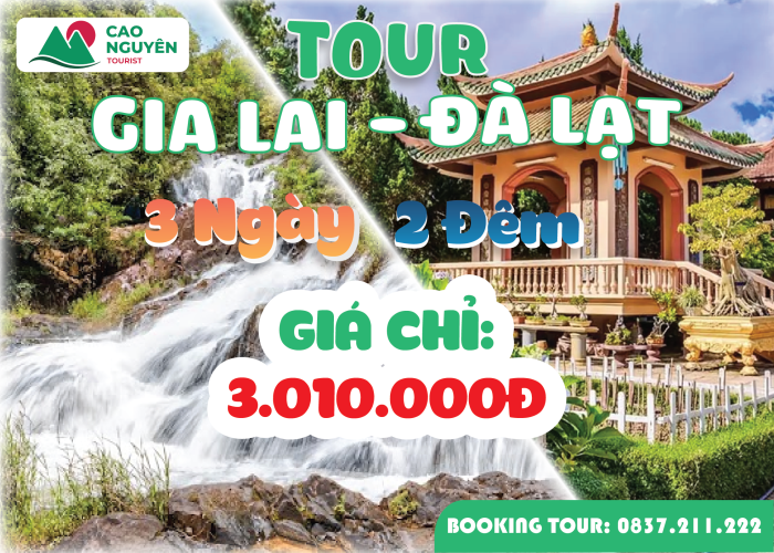 Tour Gia Lai đi Đà Lạt 3 ngày 2 đêm