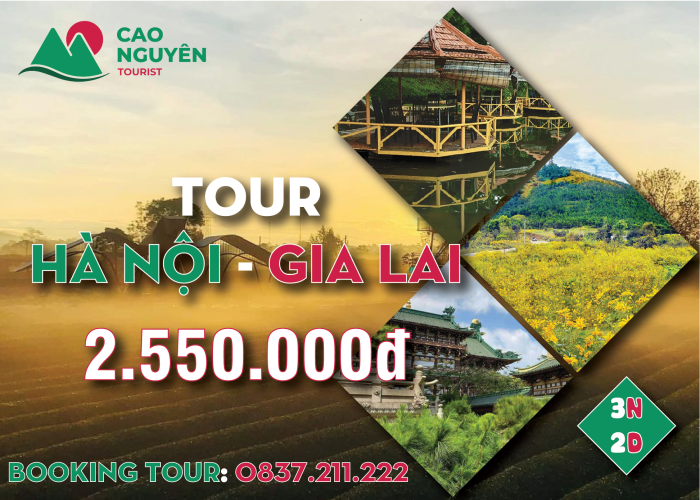 Tour Gia Lai từ Hà Nội [Trọn Gói 3 ngày 2 đêm đi máy bay]