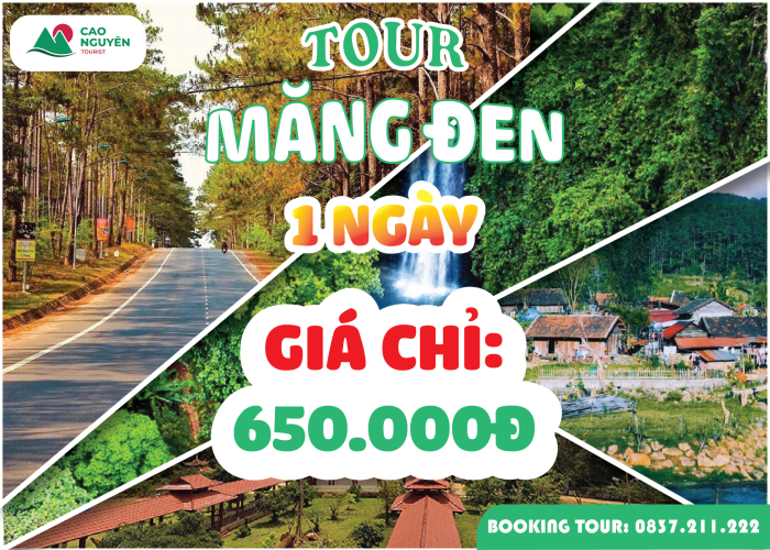 Tour Măng Đen 1 ngày [Trọn Gói] - Cao Nguyên Tourist