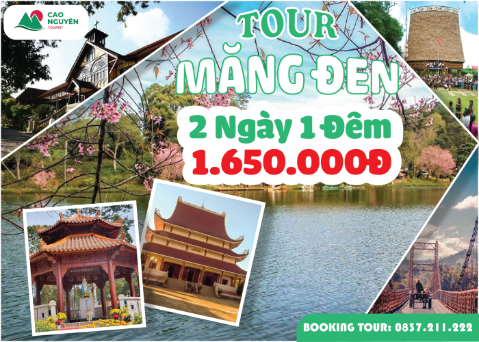 Tour Măng Đen 2 ngày 1 đêm [Bao Trọn Gói] - Cao Nguyên Tourist