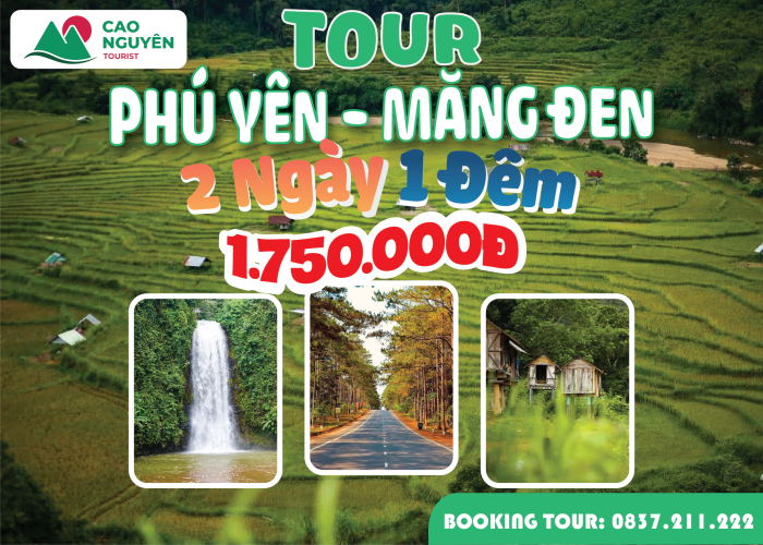 Tour Măng Đen 2 ngày 1 đêm khởi hành từ Phú Yên [Trọn gói]