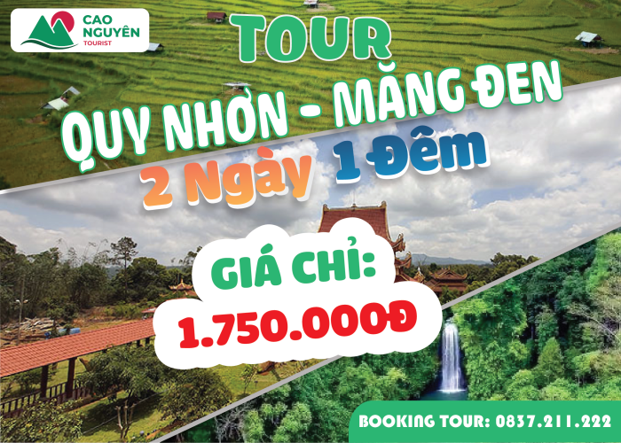 Tour Quy Nhơn Măng Đen 2 ngày 1 đêm