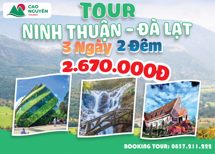  Tour từ Ninh Thuận đi Đà Lạt