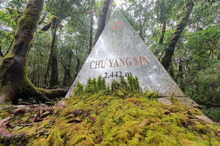 Top 15 quán ăn sáng Đà Lạt chuẩn vị, được dân địa phương mê mẩn