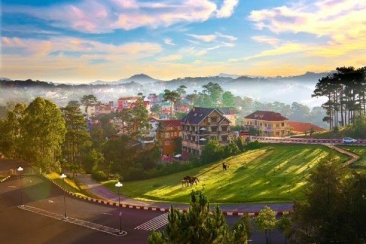 Cẩm nang thời tiết Đà Lạt: Dự báo & Đặc điểm khí hậu từng tháng