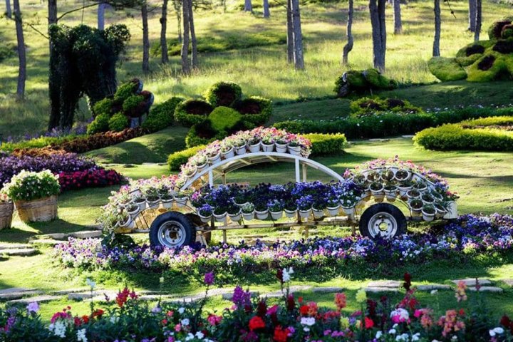 Festival Hoa Đà Lạt: Lễ hội hoa Tây Nguyên hoành tráng (Lịch & chi tiết)