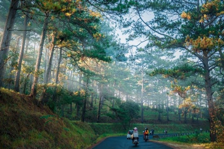 Đi Đà Lạt từ Sài Gòn: Hành trình chill cùng phố núi