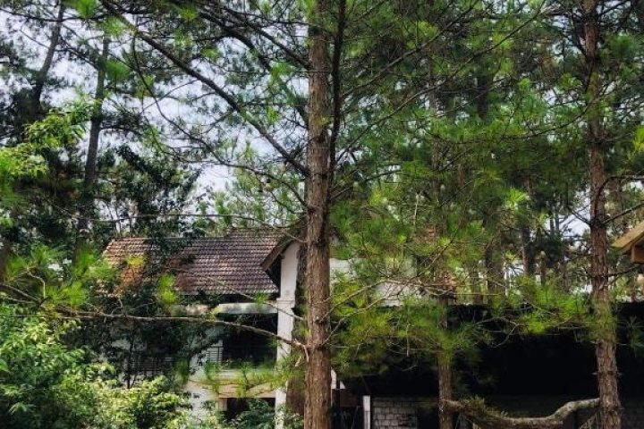 Khám Phá Kì Nghỉ Bình Yên Tại Chino Homestay Măng Đen