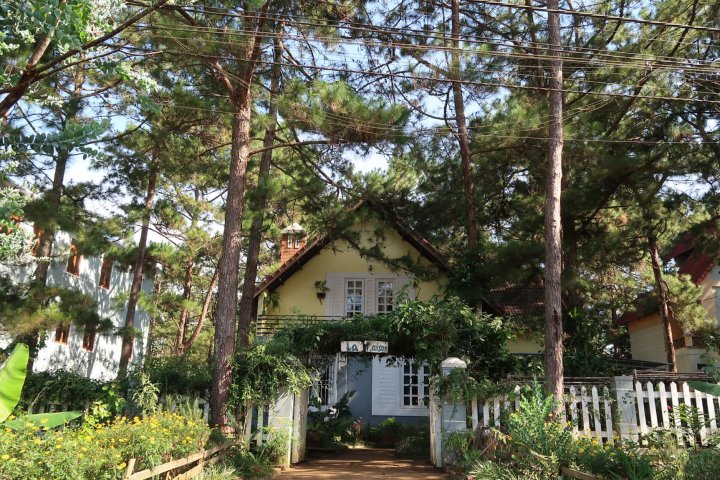 La Maison - Homestay Măng Đen Nép Mình Giữa Rừng Thông Xanh Mướt
