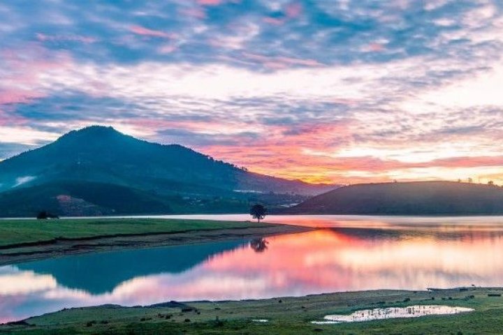 Top 10 địa điểm cắm trại đẹp nhất Đà Lạt: Tuyệt vời cho mùa này!