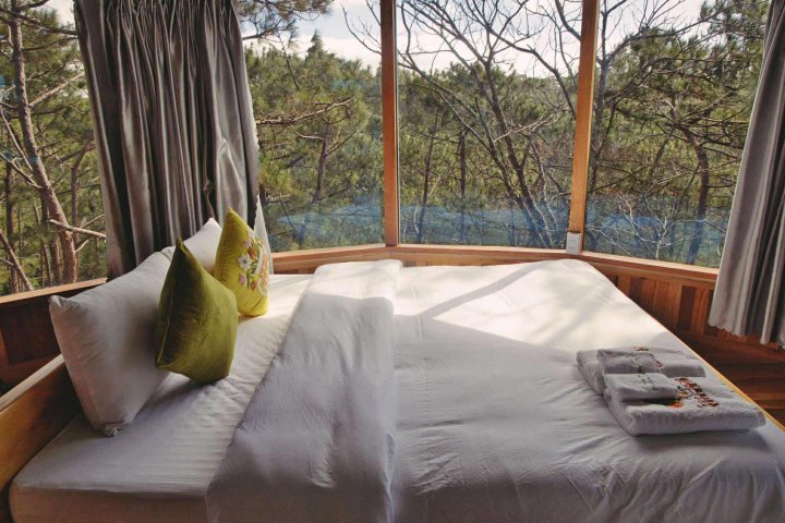 Măng Đen Treehouse Village Resort & Zipline - Nơi Thiên Nhiên Thì Thầm Câu Chuyện Phiêu Lưu