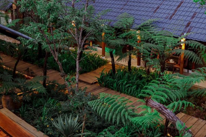 Top Homestay Gần Rừng Thông Măng Đen cho bạn tha hồ chill