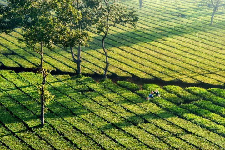 Check-in Ngay Những Điểm Đến Tuyệt Đẹp Ở Gia Lai Không Thể Bỏ Qua!