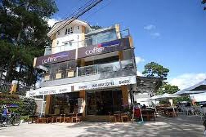 Cafe Bùi Văn Ngọ Đà Lạt – Ngắm đồi thông thơ mộng, cực chill