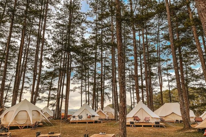 10 địa điểm cắm trại đẹp Đà Lạt mùa này: Đừng bỏ lỡ!