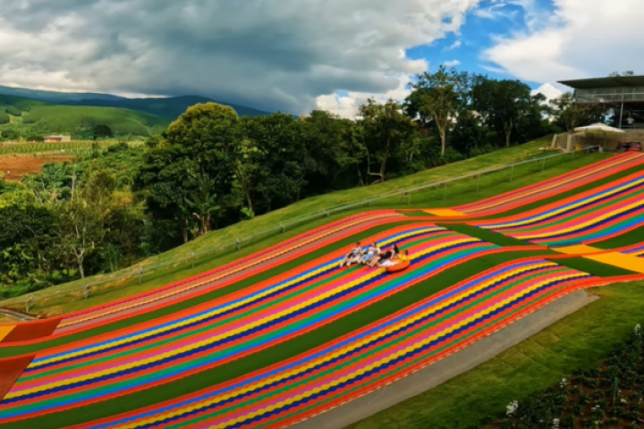 Khám phá Dapa Hill Đà Lạt: Khu check-in view rừng thông đẹp mê ly