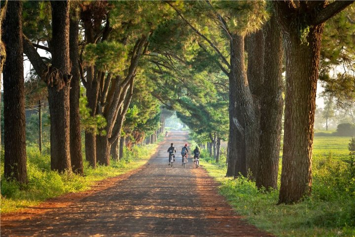 Top 5 Nhà Xe Tuyến Hà Nội - Gia Lai Uy Tín Hàng Đầu