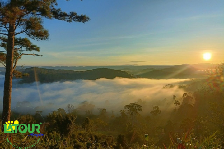 Khám phá Phố Mây Măng Đen - Thiên đường mây lãng đãng giữa đại ngàn