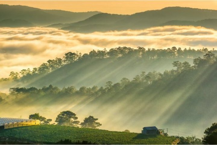 Mùa Đông - Mùa Đà Lạt đẹp nhất trong năm