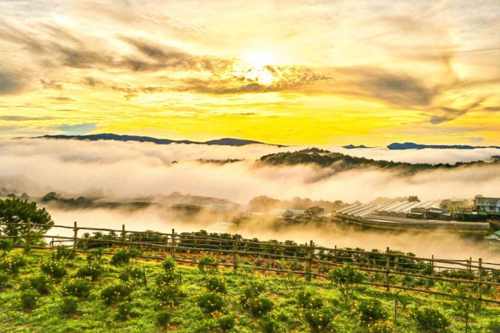 Review Đồi Mây Đà Lạt 2026: Trải nghiệm và Cập nhật giá vé