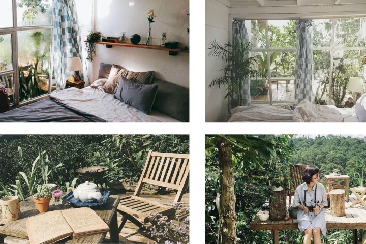 Đợi Một Người Homestay: Thiên đường bình yên giữa rừng thông.