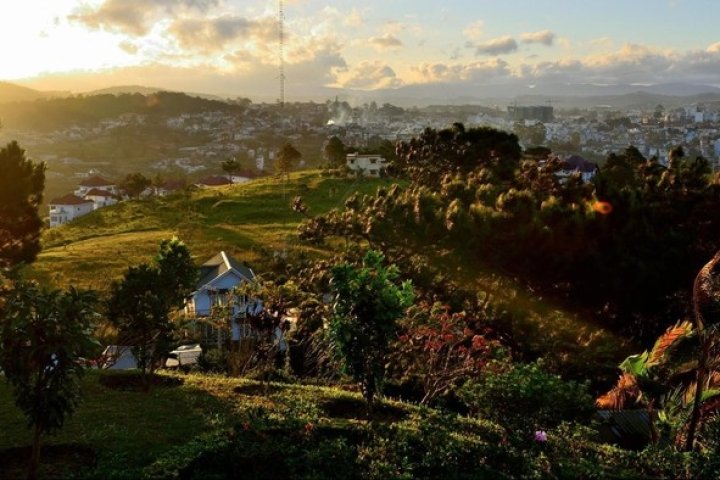 Khám phá Đà Lạt tháng 7/2026: Thời tiết & điểm check-in hot.