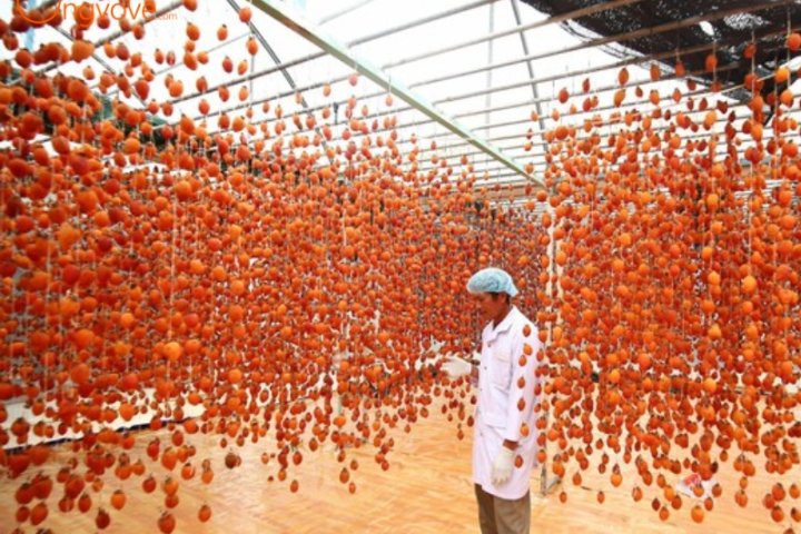 Hồng treo gió Đà Lạt làm quà đặc biệt