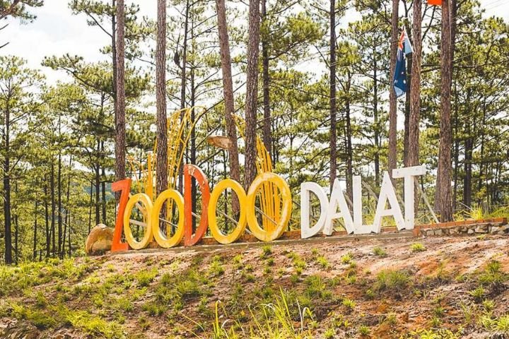 ZooDoo Đà Lạt: Trải nghiệm sở thú thân thiện & giá vé mới nhất