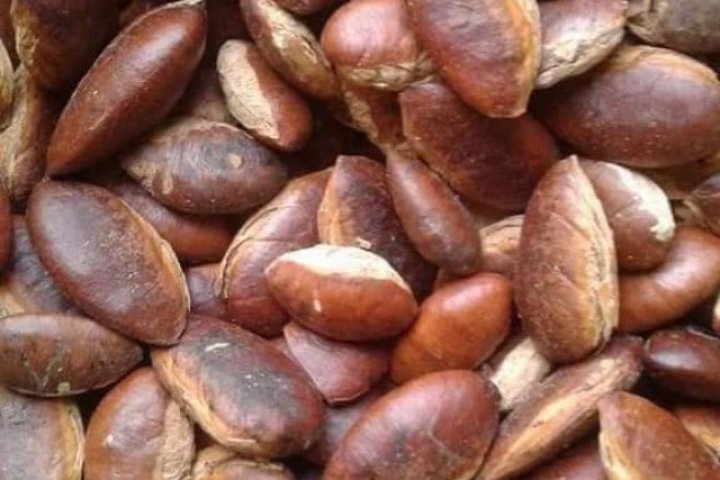 Hồn Măng Đen: Nơi Gắn Kết Tinh Hoa Thiên Nhiên Và Tâm Hồn Việt.