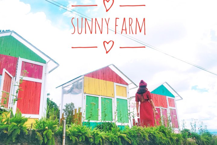 Review Sunny Farm Đà Lạt: Nấc thang lên thiên đường giữa mây ngàn