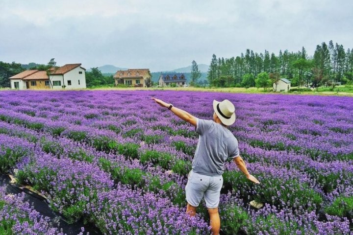 Bản đồ du lịch Đà Lạt: Lộ trình tiện lợi, dễ khám phá.