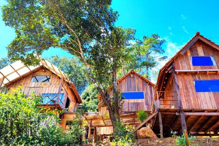 Tổ Chim Ri Homestay Măng Đen: Nơi Bình Yên Giữa Rừng Thông Xanh Mát