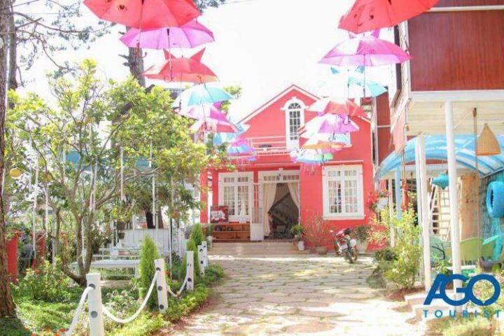 Vivir El Amor: Sống trọn tình yêu giữa đồi núi lãng mạn Đà Lạt.