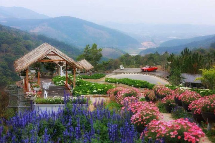Review KDL Sinh Thái Cao Nguyên Hoa Đà Lạt: Giá vé 2026