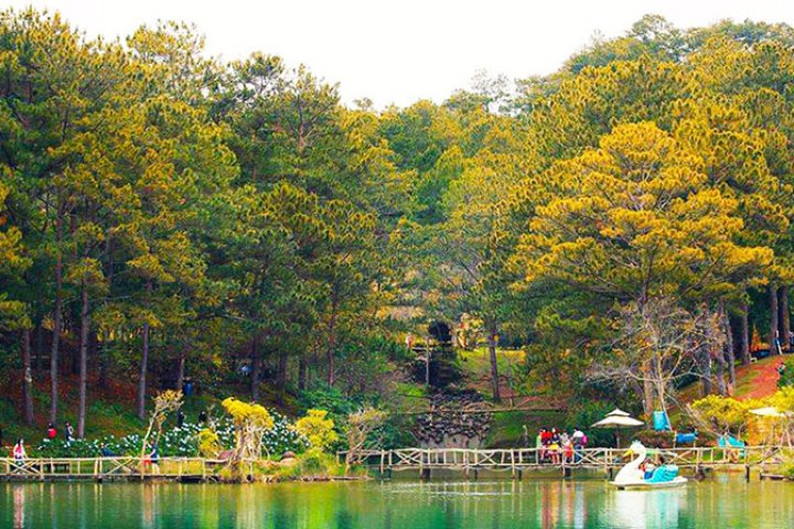 Khám phá điểm độc đáo khi Teambuilding ở Thung Lũng Vàng Đà Lạt