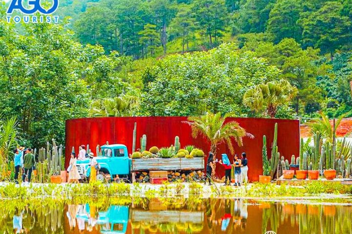 Đắm mình tại Kombi Land Đà Lạt: Vườn xương rồng lớn nhất thành phố