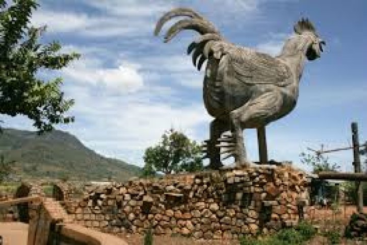 Làng Gà Darahoa Đà Lạt: Khám phá bản sắc K'Ho nguyên sơ