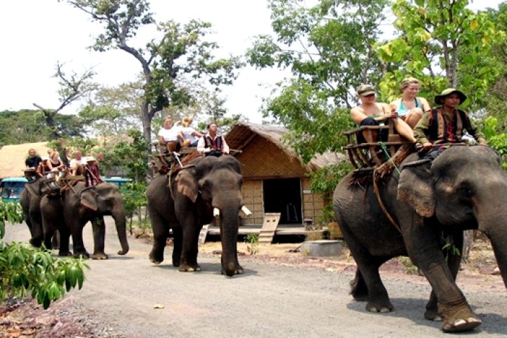 Làng voi Nhơn Hòa – Trải nghiệm văn hoá bản địa Tây Nguyên