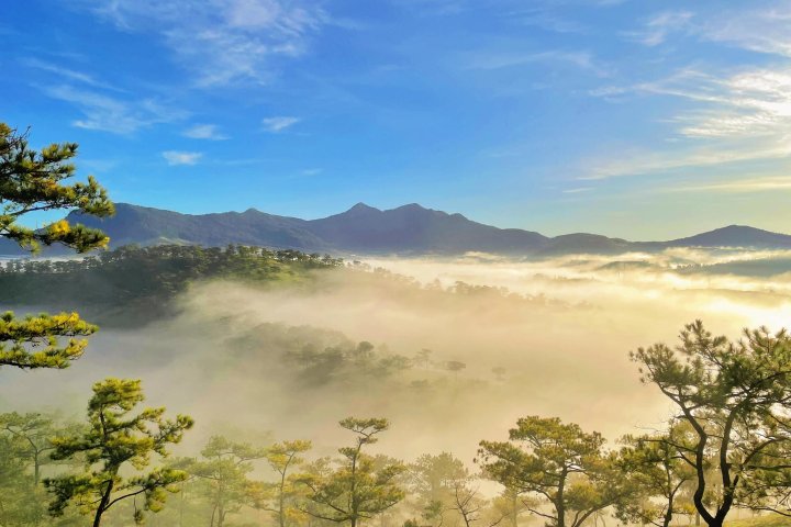 Bản đồ Đà Lạt: Lộ trình du lịch tiện lợi, dễ dàng khám phá