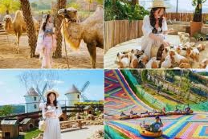 Review Mama Dala Đà Lạt: Cafe sống ảo triệu góc đẹp mê ly
