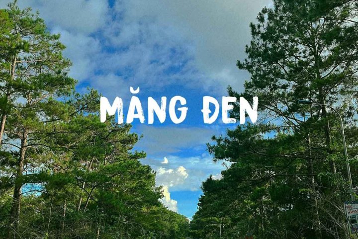 Măng Đen Mùa Nào Đẹp: Hành Trình Khám Phá Thiên Đường Mờ Sương