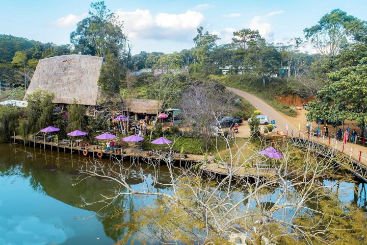 YLang Home Măng Đen: Trải Nghiệm Thư Thái Giữa Rừng Thông Mộng Mơ