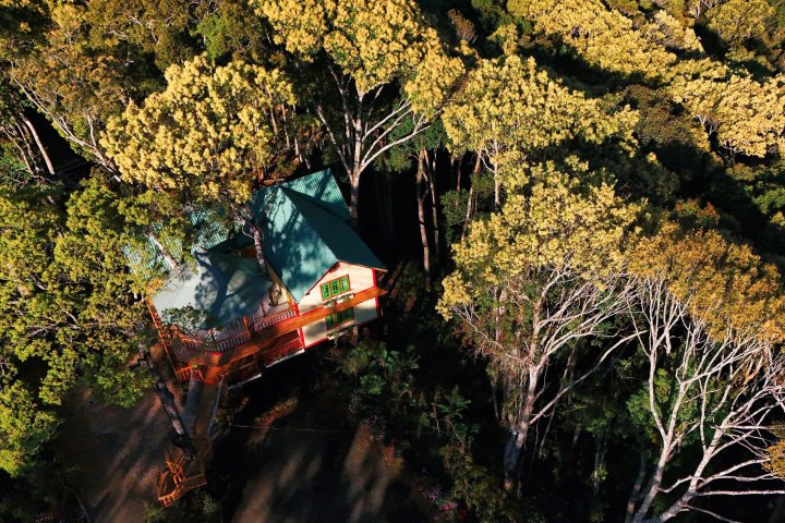 Măng Đen Treehouse Village Resort & Zipline - Thiên Đường Cây, Vui Chơi Bay