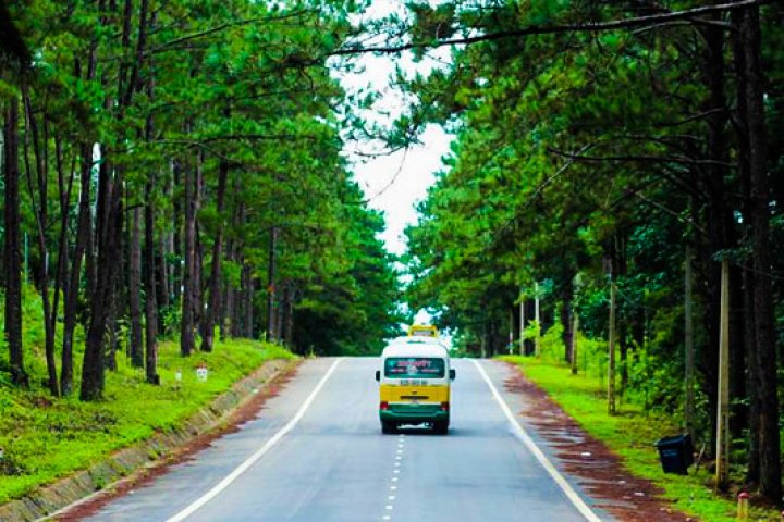 Du lịch Quảng Trị Măng Đen - Tự túc hay chọn đi Tour?