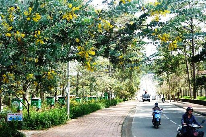 Dự báo thời tiết Đà Lạt và đặc điểm khí hậu chi tiết theo tháng