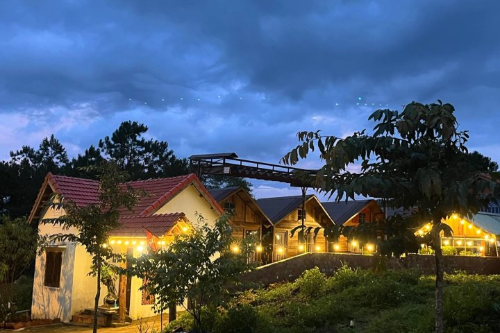 Mộc House Măng Đen: Bình Yên Giữa Rừng Thông Xoa Dịu Tâm Hồn