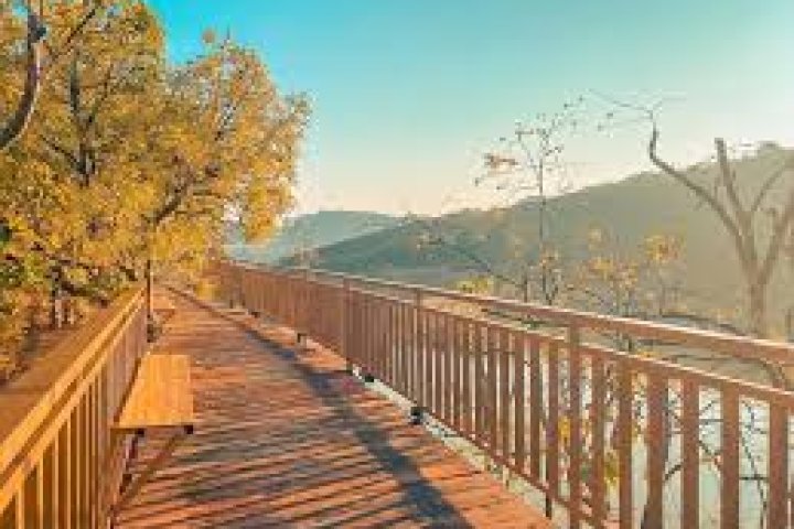 Mộc Trà Farm Đà Lạt: Cafe & Farmstay Cực Chill Đáng Thử