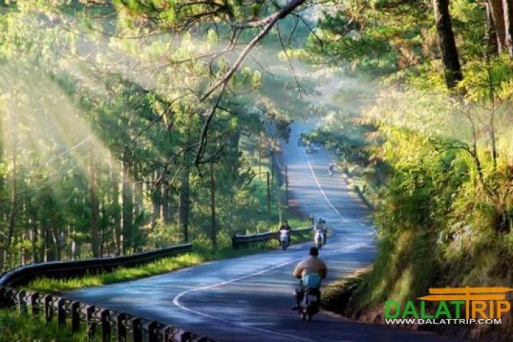 Đà Lạt 4 Mùa: Vẻ Đẹp Khó Quên, Sức Hút Đặc Trưng Lãng Mạn